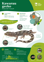 ORC Kawarau Gecko A4 2024 (1)