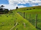 rabbit fencing on farmland 20201208 124639