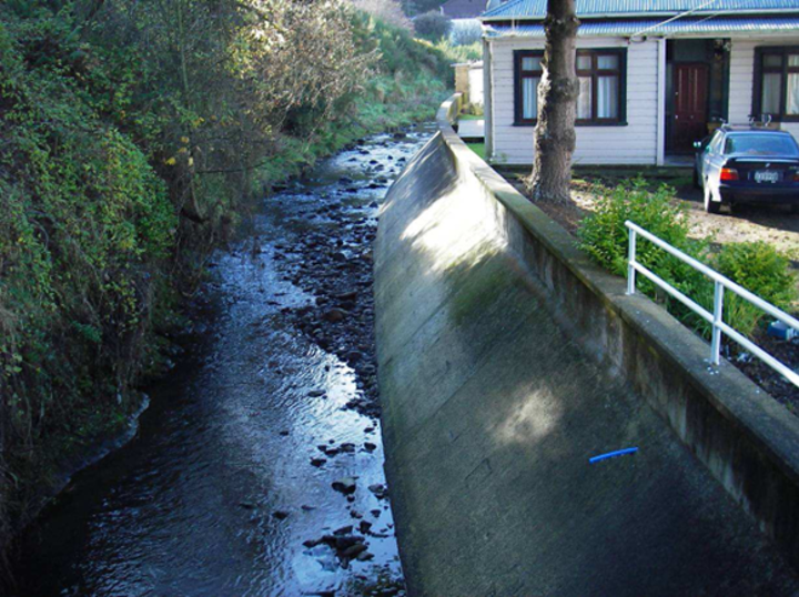 A Section Of The Lindsay Creek Channel In North East Valley Looking Upstream