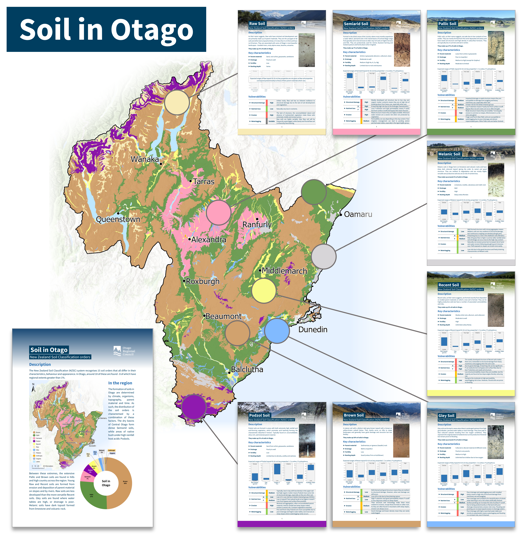 Soil In Otago Factsheets Graphic