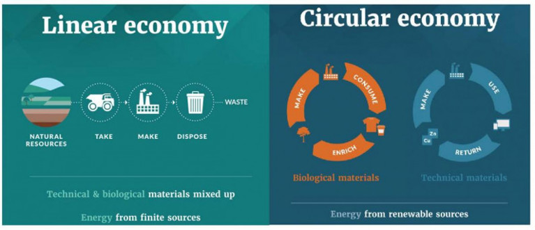 Linear and circular economy chart