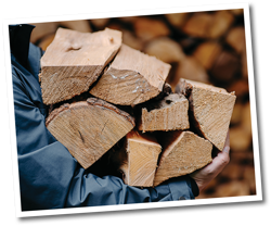 photograph of cut firewood held in an arm