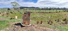 Enviroschools 2024 Decorated plant guard for Te Hakapupu plantings by a Macraes Moonlight School student