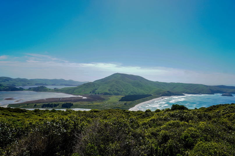 Hooper's Inlet, Otago Peninsula Adobestock 545301160