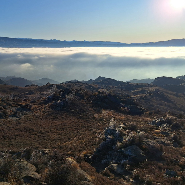 An inversion layer in Alexandra