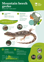 ORC Mountain Beech Gecko A4 2024 (1)