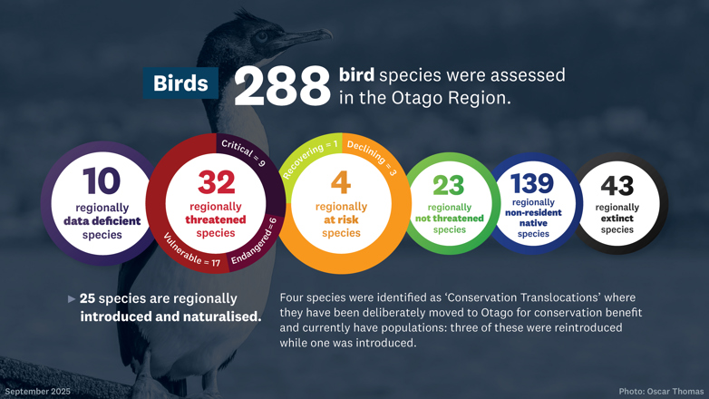 Infographic showing the bird species assessed in Otago