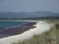 Seaweed Can Wash Up Along The Shore During Certain Weather Conditions. Source Northland Regional Council